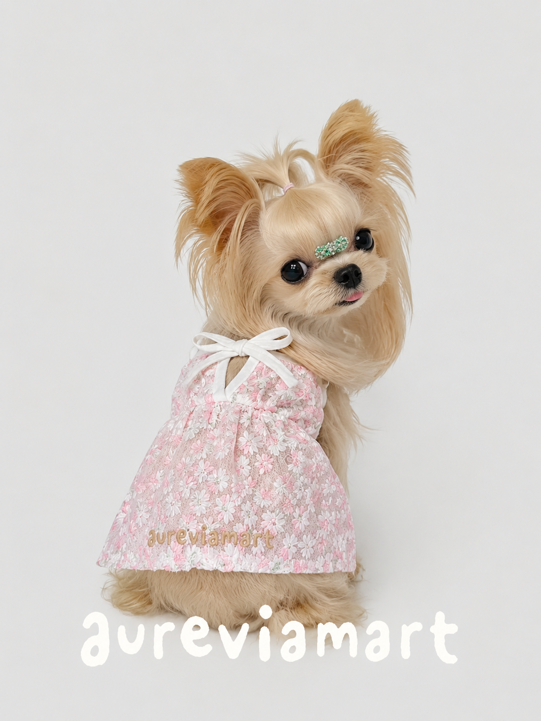 Everyday Protection Small Dog Summer Dress