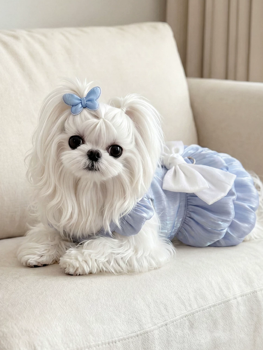 Maltese Summer Breeze Princess Dress Leash Edition
