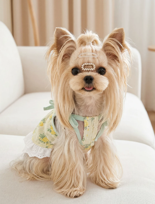 Ditsy Floral Summer Suspender Puppy Dress
