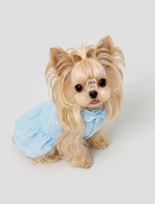 2026 Pet Couture Ruffle Hem Princess Dress