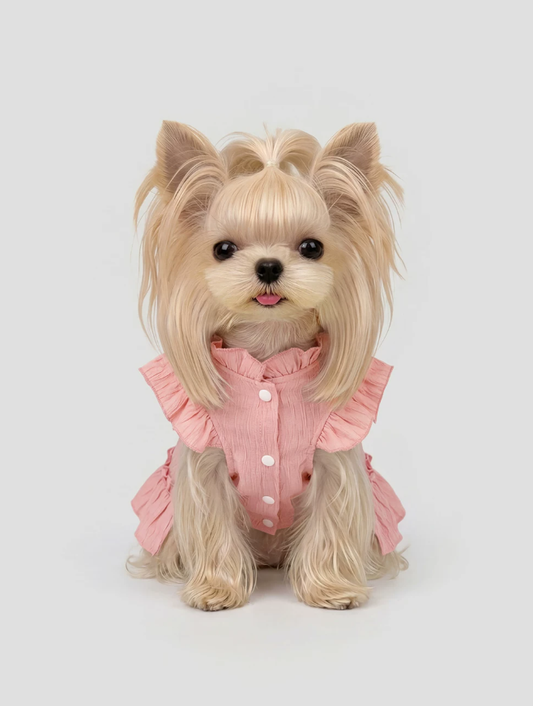 Lace Suspender Mini Dress for Schnauzer