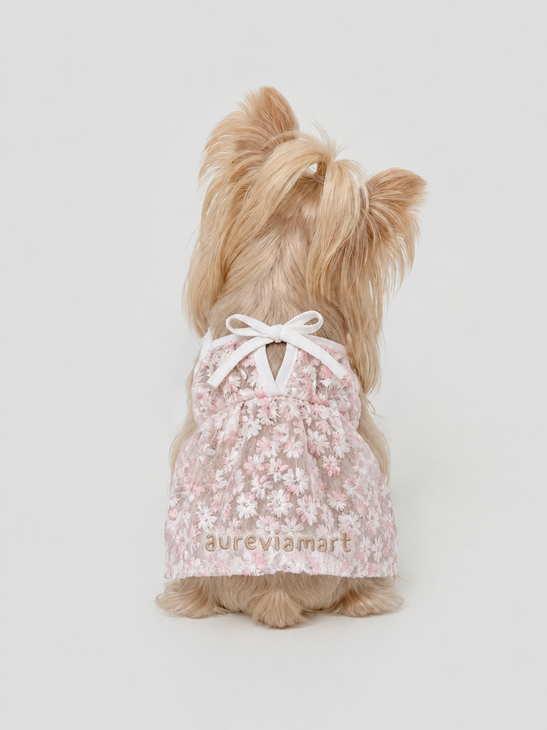 Everyday Protection Small Dog Summer Dress