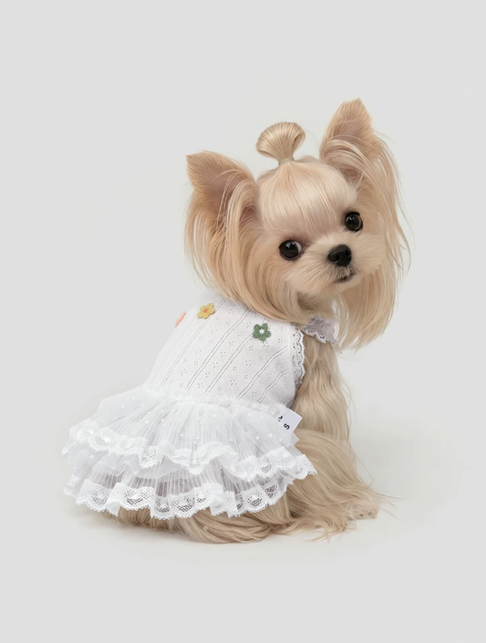 Outdoor Anti-Stain Walkable Pet Dress
