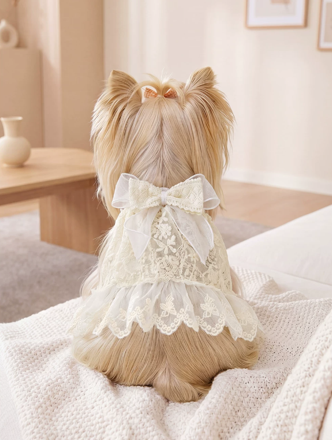 Elegant Lace Suspender Ceremony Pet Dress