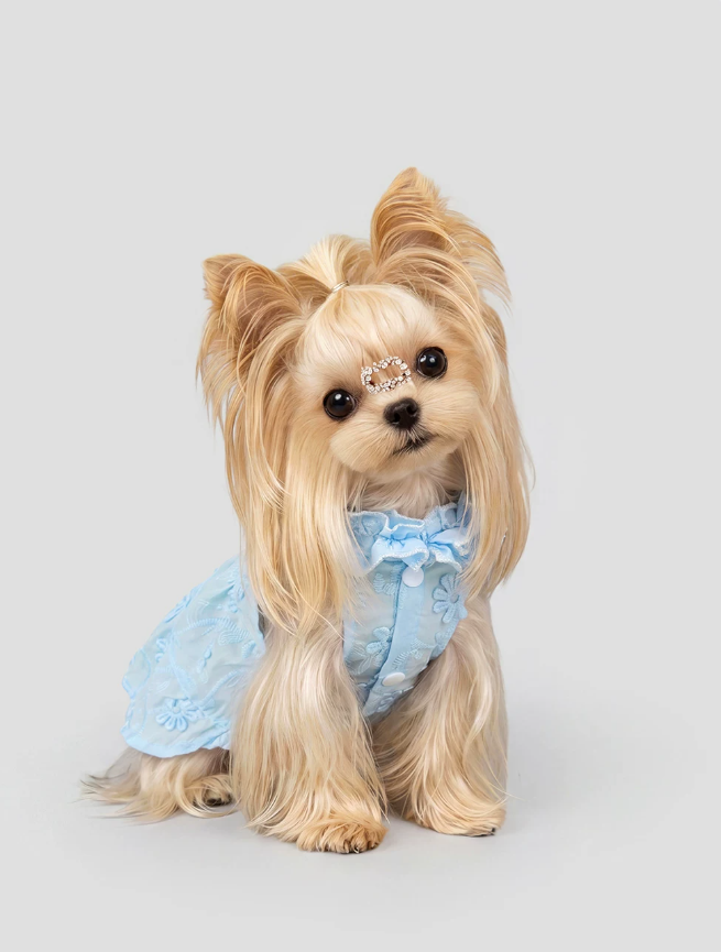 2026 Pet Couture Ruffle Hem Princess Dress