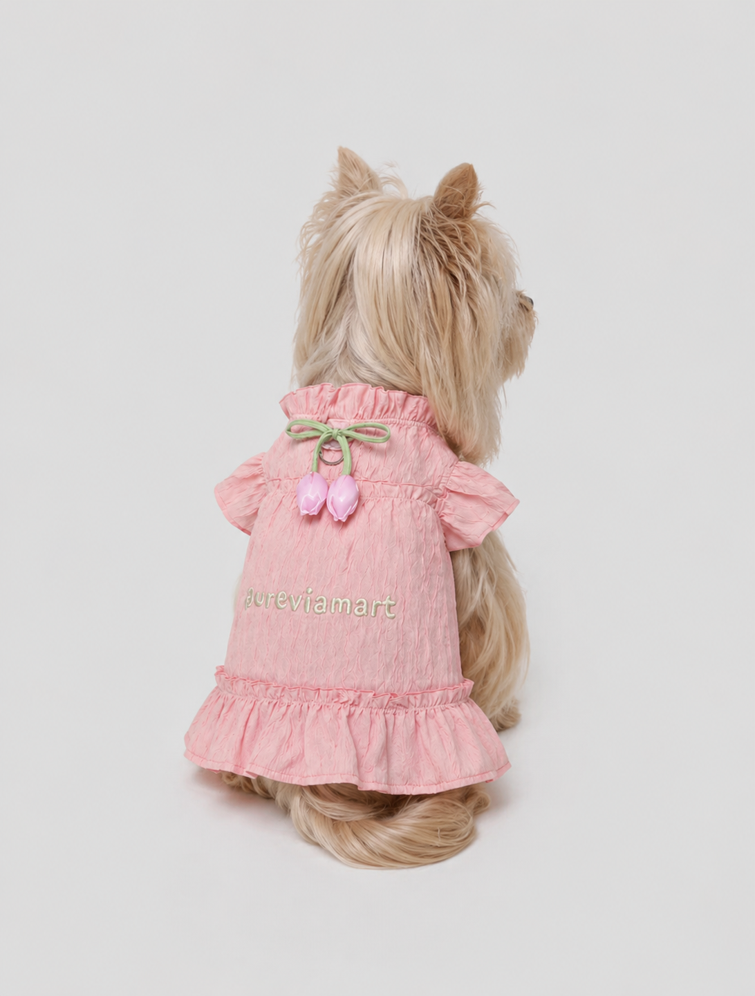 Lace Suspender Mini Dress for Schnauzer