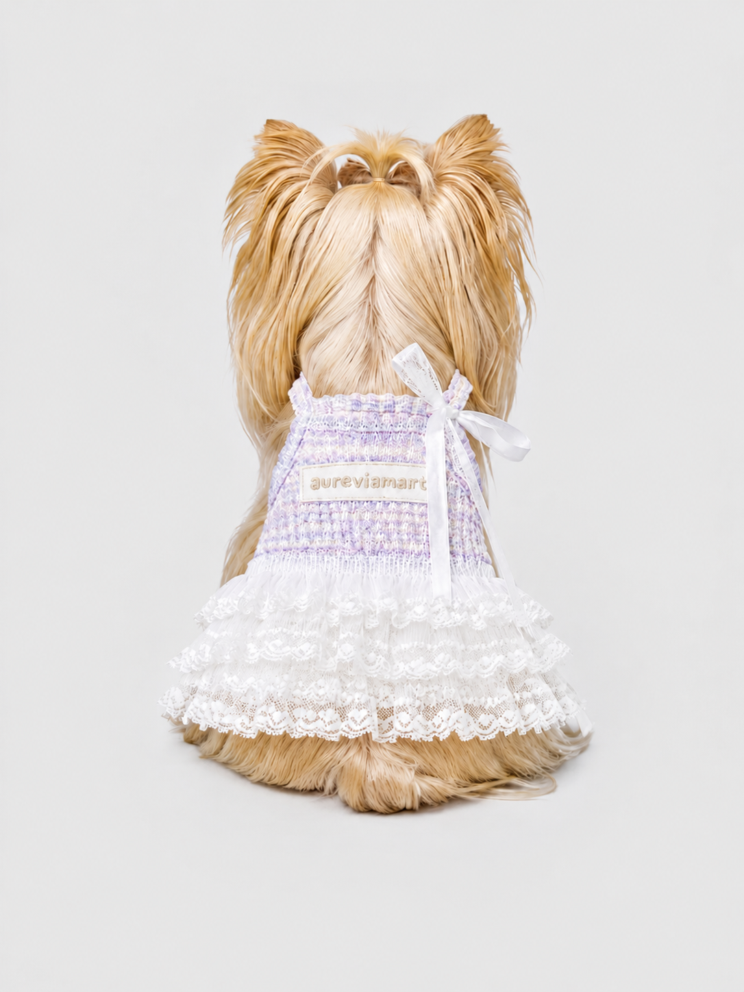 Soft Tulle Suspender Summer Fairy Dress