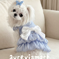 Maltese Summer Breeze Princess Dress Leash Edition
