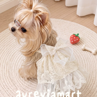 Elegant Lace Suspender Ceremony Pet Dress
