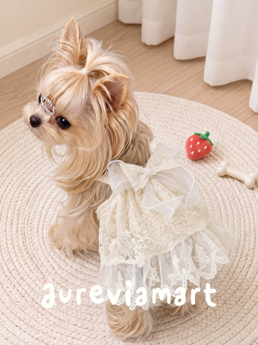 Elegant Lace Suspender Ceremony Pet Dress