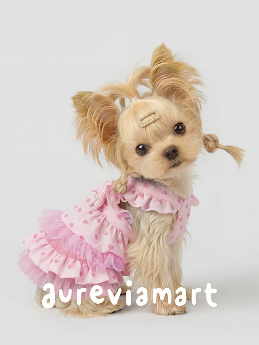 Bichon Frise Walkable Princess Leash Dress