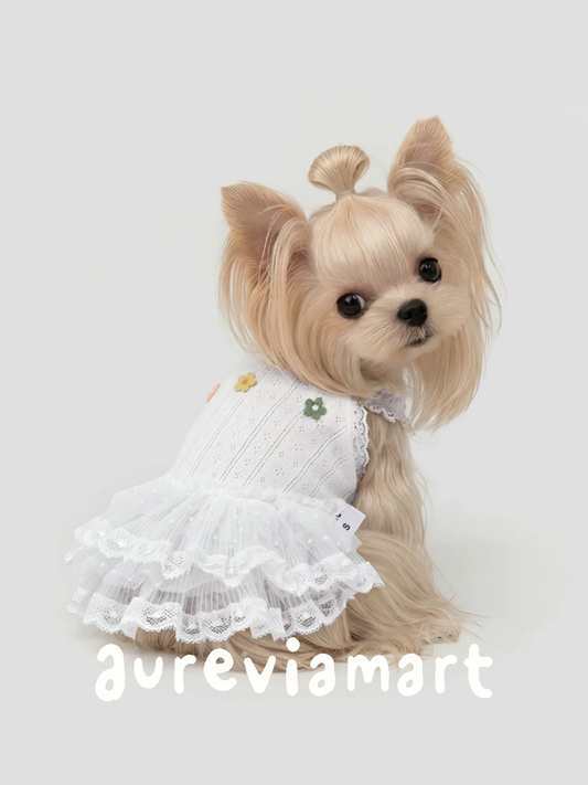 Outdoor Anti-Stain Walkable Pet Dress