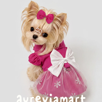 Convertible Leash-Friendly Princess Dog Dress