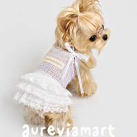 Soft Tulle Suspender Summer Fairy Dress