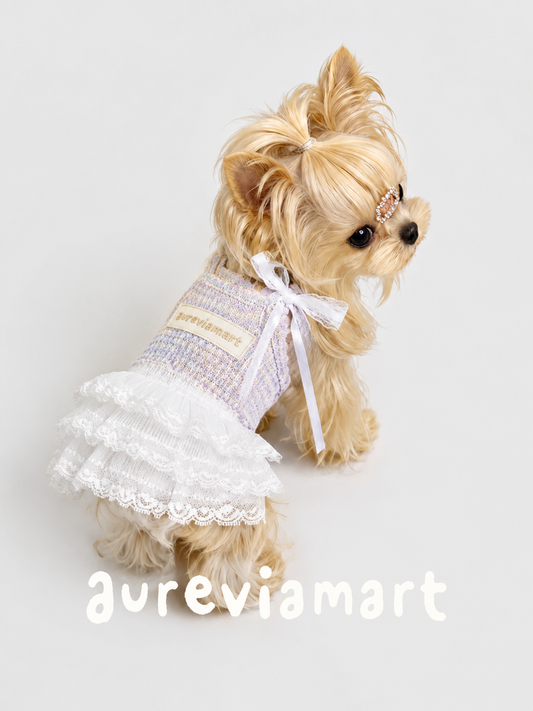 Soft Tulle Suspender Summer Fairy Dress