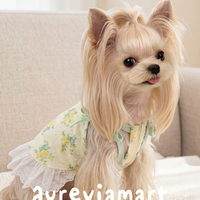 Ditsy Floral Summer Suspender Puppy Dress