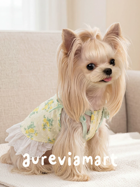Ditsy Floral Summer Suspender Puppy Dress