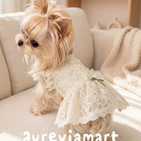Lace Bridal-Inspired Puppy Gown