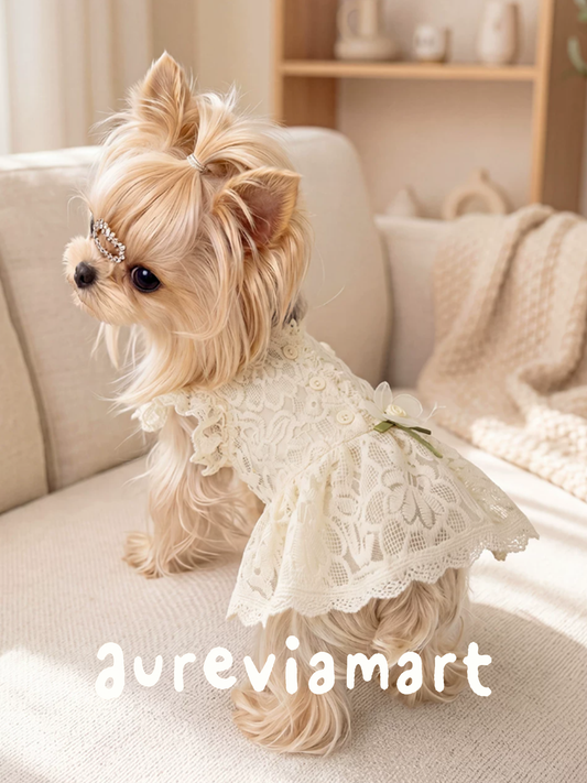 Lace Bridal-Inspired Puppy Gown