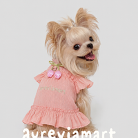 Lace Suspender Mini Dress for Schnauzer