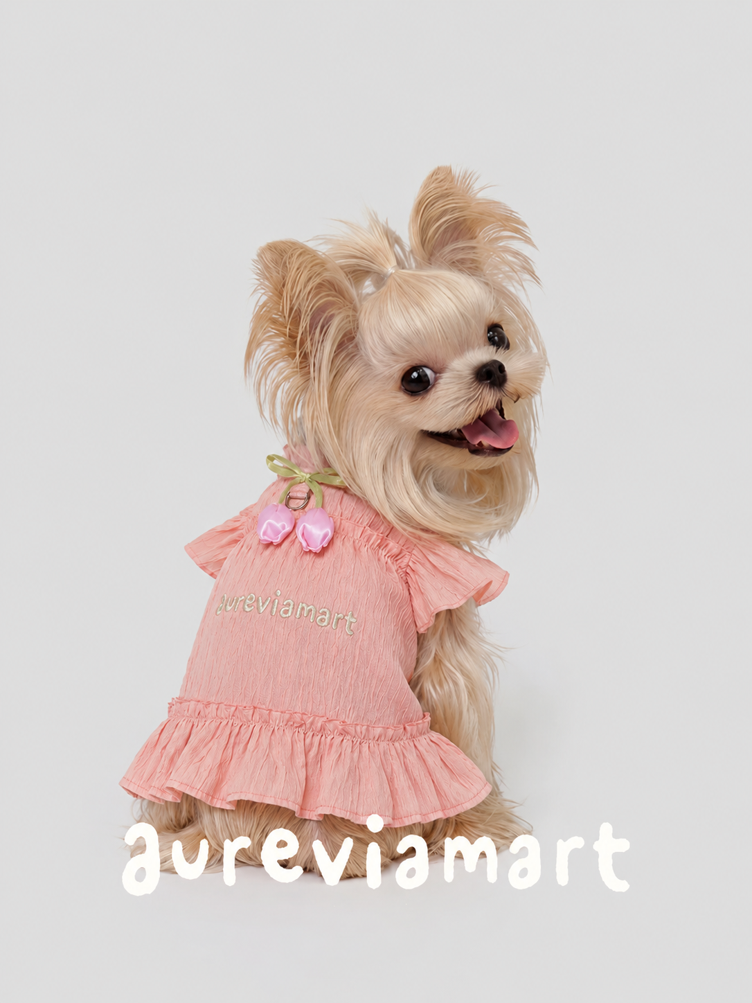 Lace Suspender Mini Dress for Schnauzer