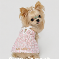 Everyday Protection Small Dog Summer Dress