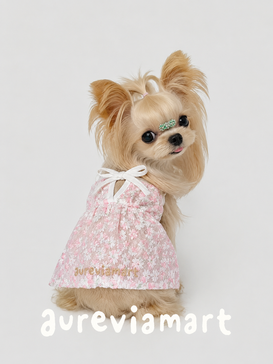 Everyday Protection Small Dog Summer Dress
