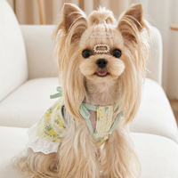 Ditsy Floral Summer Suspender Puppy Dress