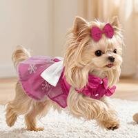 Convertible Leash-Friendly Princess Dog Dress