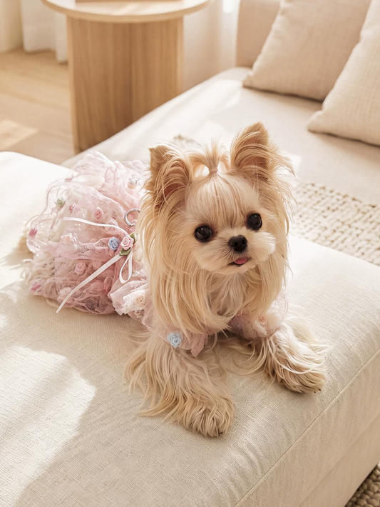 Yorkshire Terrier Airy Mesh Sun-Proof Fairy Dress
