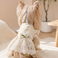 Lace Bridal-Inspired Puppy Gown