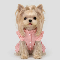 Lace Suspender Mini Dress for Schnauzer