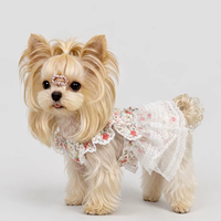 Floral Garden Walk Harness Puppy Dress