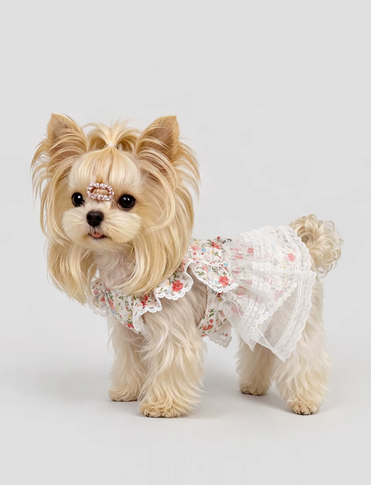 Floral Garden Walk Harness Puppy Dress