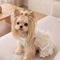 Elegant Lace Suspender Ceremony Pet Dress