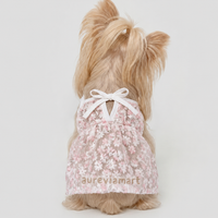 Everyday Protection Small Dog Summer Dress