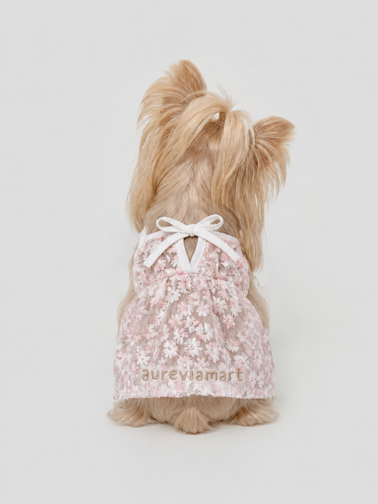 Everyday Protection Small Dog Summer Dress
