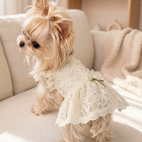 Lace Bridal-Inspired Puppy Gown