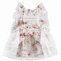 Floral Garden Walk Harness Puppy Dress