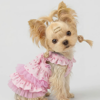 Bichon Frise Walkable Princess Leash Dress