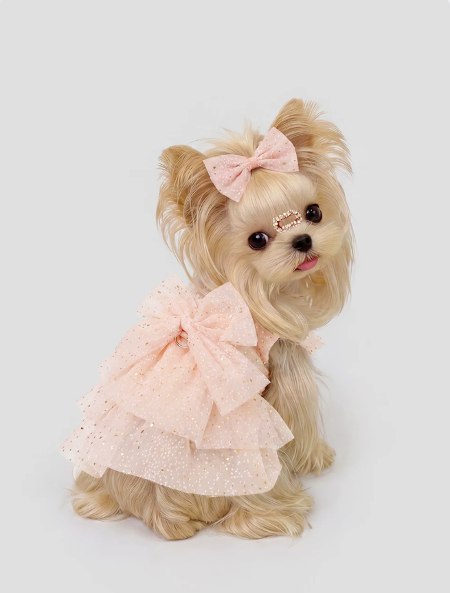 Classic Lace Princess Dress for Small Breeds