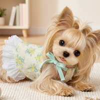 Ditsy Floral Summer Suspender Puppy Dress