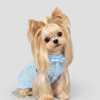 2026 Pet Couture Ruffle Hem Princess Dress
