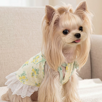 Ditsy Floral Summer Suspender Puppy Dress