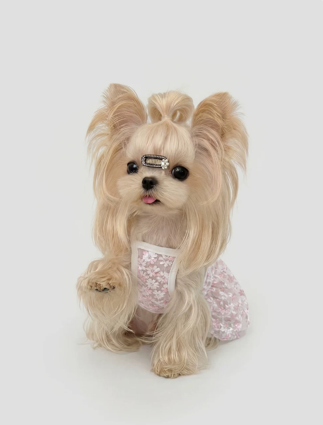 Everyday Protection Small Dog Summer Dress