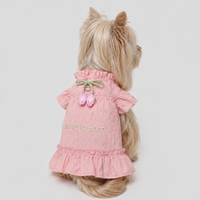 Lace Suspender Mini Dress for Schnauzer