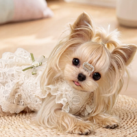 Lace Bridal-Inspired Puppy Gown