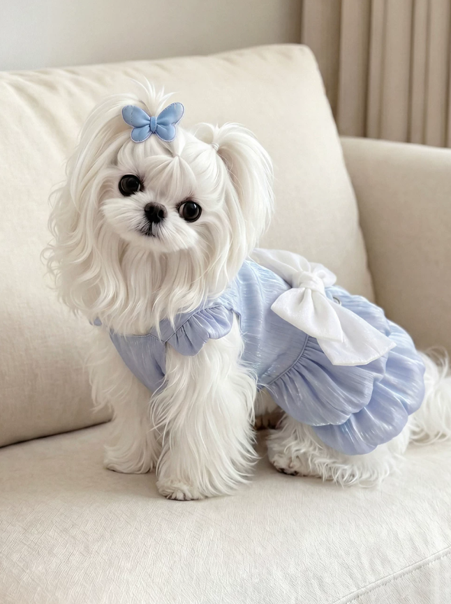 Maltese Summer Breeze Princess Dress Leash Edition