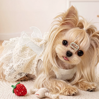 Elegant Lace Suspender Ceremony Pet Dress