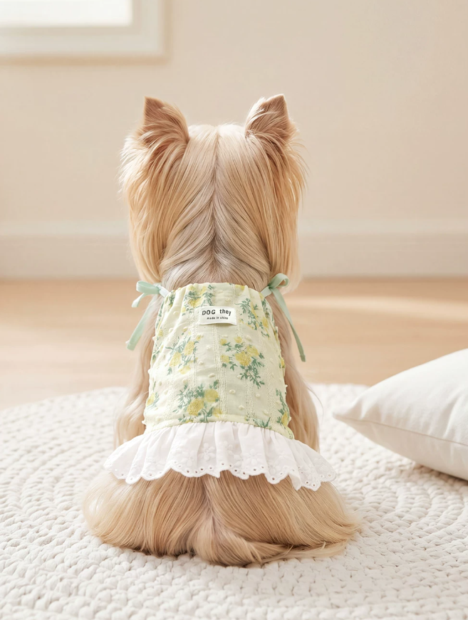 Ditsy Floral Summer Suspender Puppy Dress